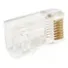 CONECTOR MACHO RJ45 CAT.6 - ADCONNECT  - Imagem: 2